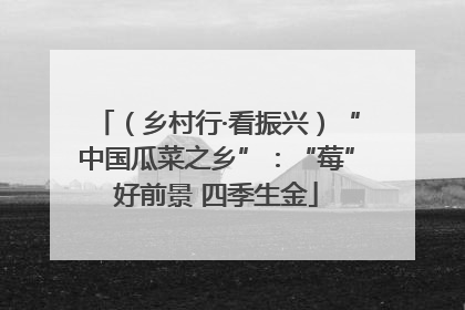 （乡村行·看振兴）“中国瓜菜之乡”：“莓”好前景 四季生金